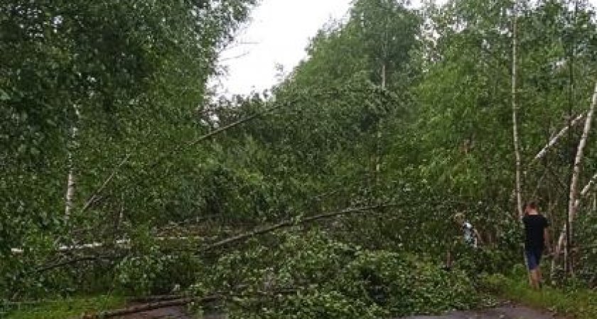 Жители Кировской области своими силами устраняют последствия урагана
