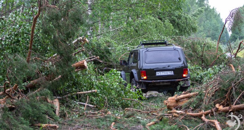 Может срывать крыши с домов и выбивать окна: в Кировской области прошли смерч и ветровал