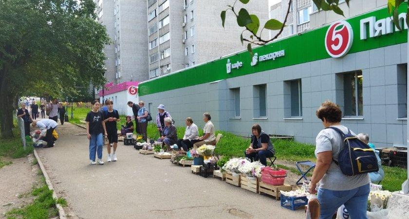 Аналитики назвали самые высокооплачиваемые вакансии в Кирове