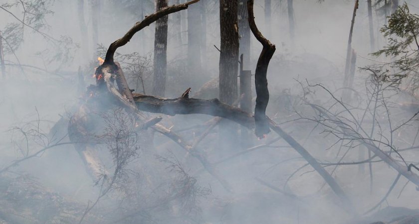 МЧС предупреждает жителей Кировской области о высокой пожарной опасности
