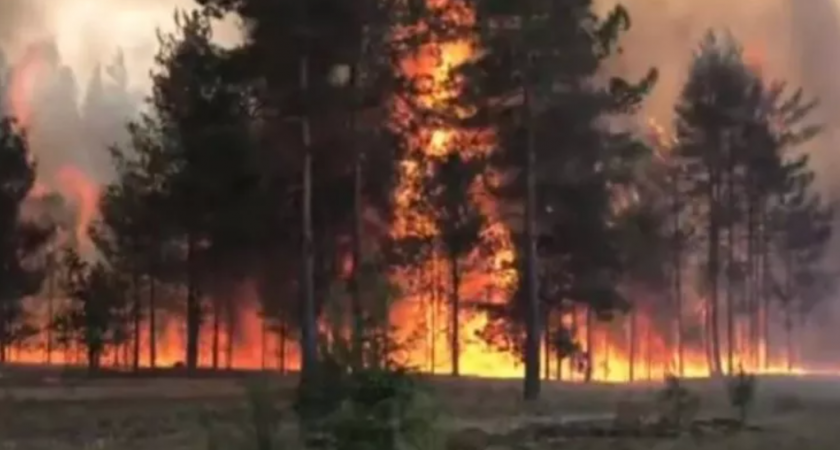 В Кировской области продолжаются лесные пожары 