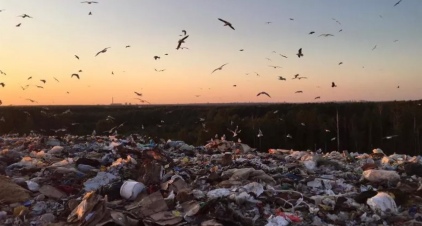 В Кировской области ликвидировали более тысячи квадратных метров незаконных свалок