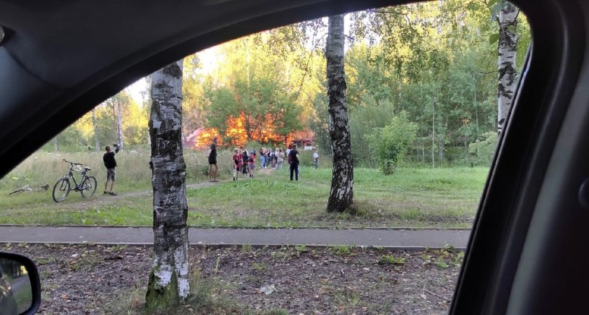 В пригороде Кирова сгорели сараи, в которых жили собаки