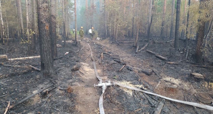 В Кировской области за 10 дней из-за халатности жителей произошло 12 лесных пожаров