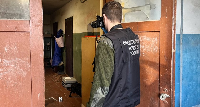 Кировчанин два дня убивал свою мать