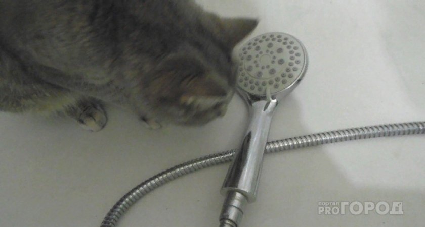 5 сентября часть жителей Кирова останется без воды