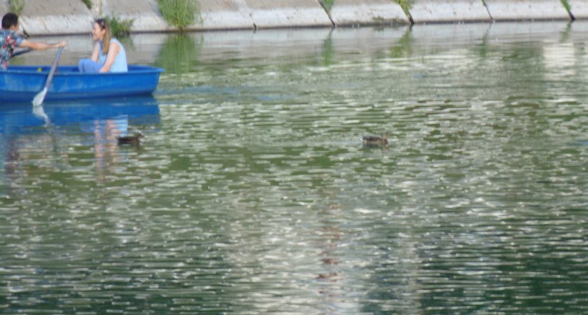 В Костино хотят восстановить пруд