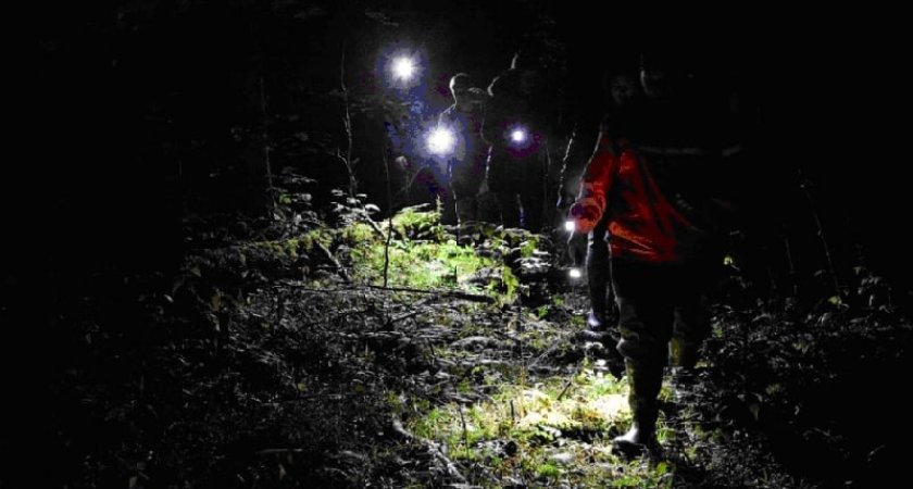 Кировчане нашли в лесу обессилевшего мужчину и его сына
