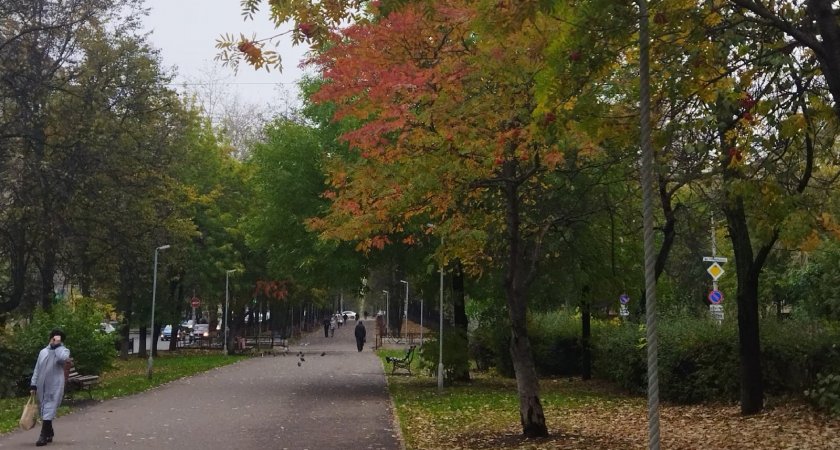 В Кировской области ожидается теплый и дождливый октябрь