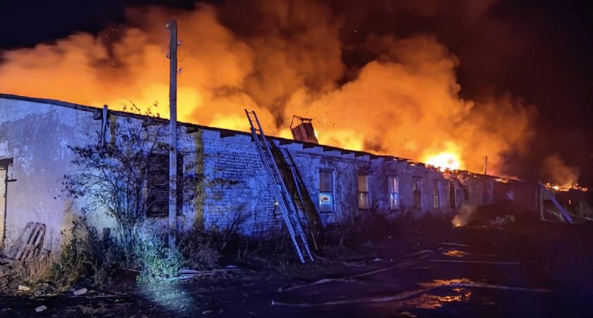 В Кировской области загорелась ферма с животными 