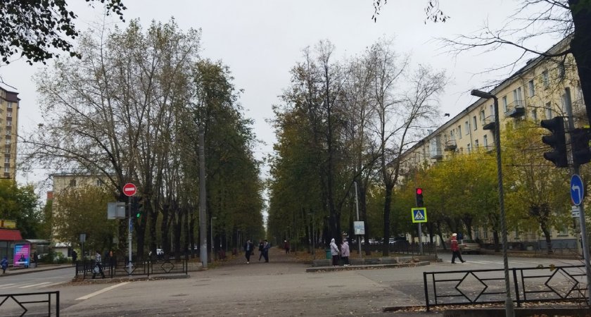 Последний день рабочей недели в Кирове будет дождливым