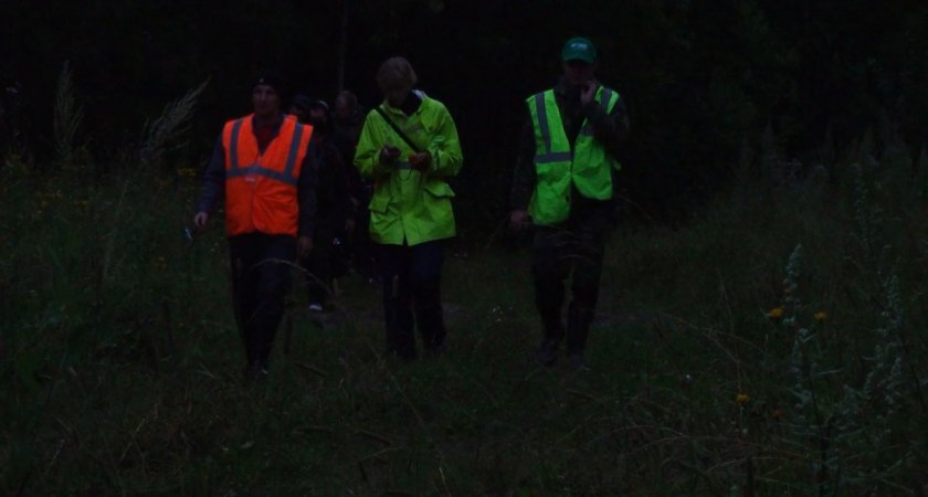 Полицейские при прочесывании леса нашли двух пропавших кировчан