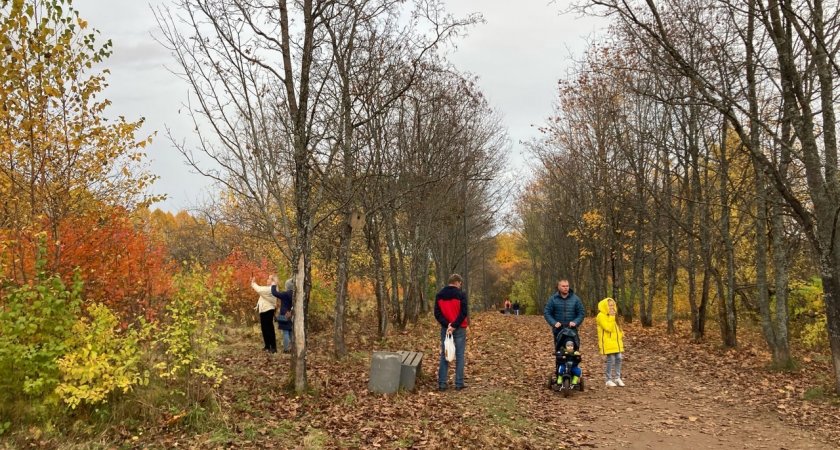 Кировчан ждут дождь и северный ветер: погода на 13 октября в Кирове