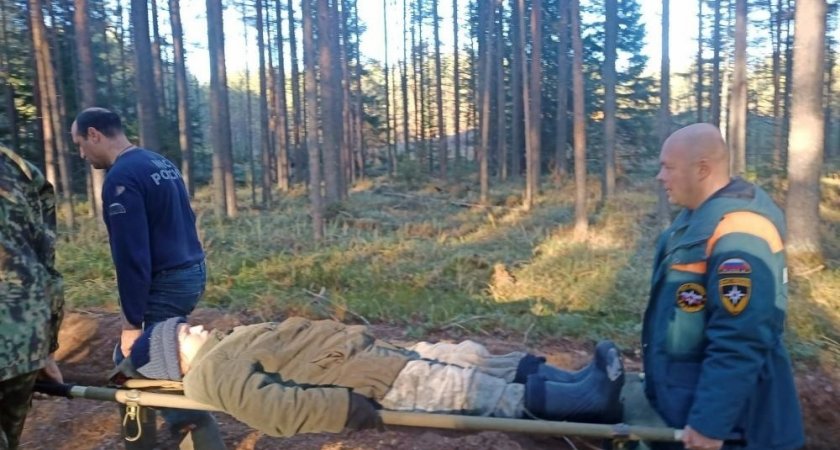 В Кировской области в лесу нашли раненую женщину