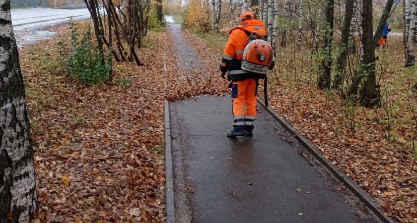 В Кирове подрядчиков будут штрафовать за неубранные листья
