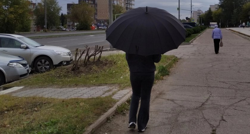 Львы изменят внешность, а Скорпионы разнообразят жизнь: гороскоп на неделю