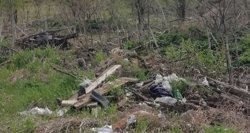В Кировской области убрали 30-летнюю свалку