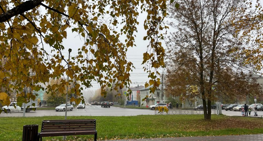 Минусовая температура и дождь: какая погода ждет кировчан 21 октября 