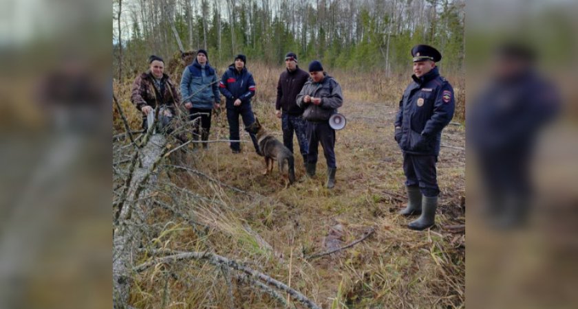 "Рев он издавал из последних сил": в Кировской области в тайге полицейские нашли мужчину