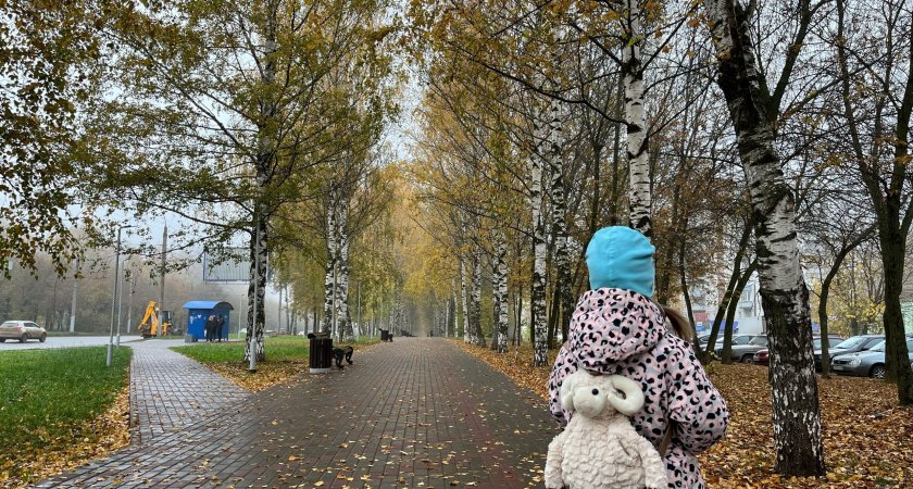 Детям кировских военнослужащих выдадут специальные удостоверения