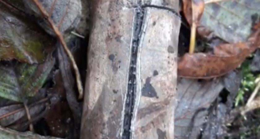 Жители Юго-Запада едва не остались без воды и канализации