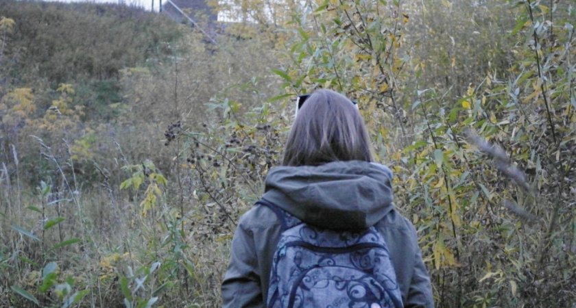 Раки найдут подсказку, а Стрельцов собьют с толку поклонники: гороскоп на 27 октября