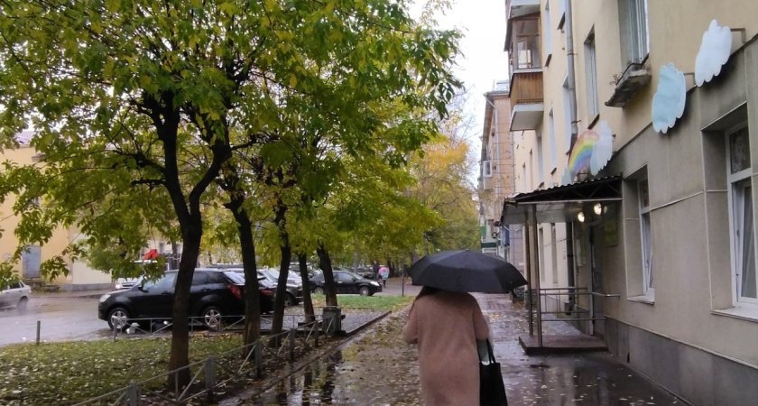 Последний день рабочей недели в Кирове будет дождливым: прогноз погоды на 28 октября