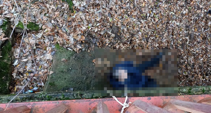 В Кирово-Чепецке под мостом нашли тело мужчины: рядом лежала веревка
