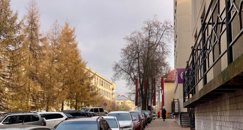 В Кирове потеплеет до +6 градусов