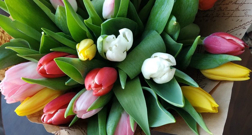 Водолеи получат подарок, а Ракам напомнят о былых промахах: гороскоп на 25 ноября