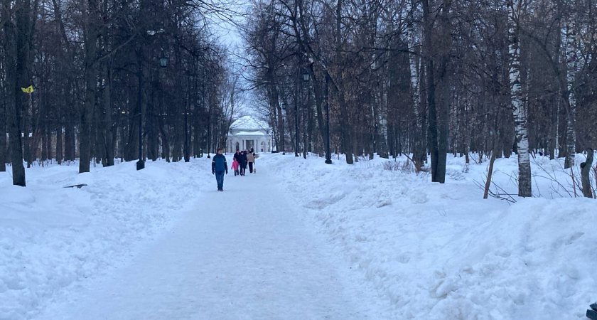 Власти города извинились перед кировчанами за спиленные в Александровском саду деревья 