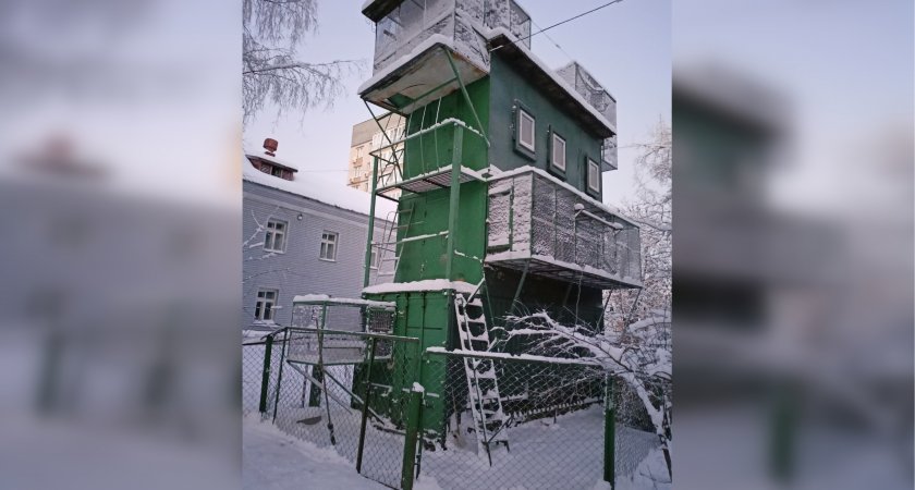 Кировская мэрия "хозяйничает" во дворе многоэтажки: жильцы против