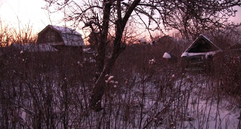 Полицейские задержали дачного вора в Кирове