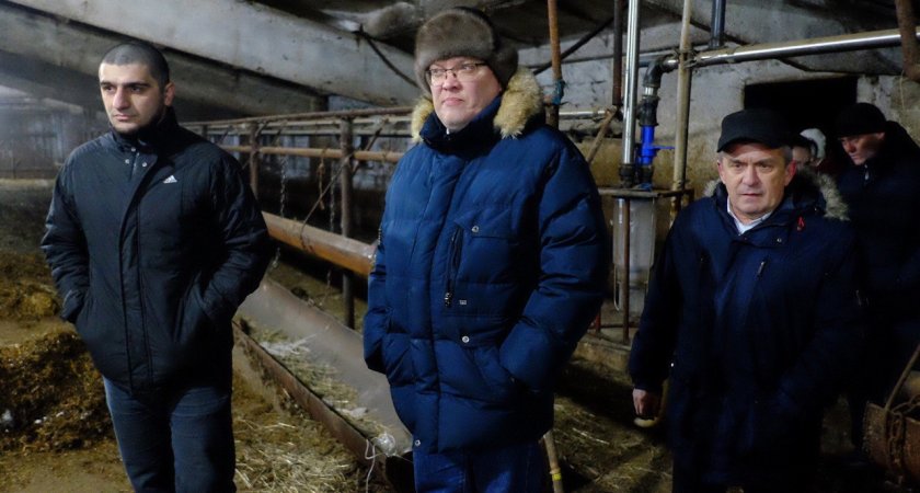 "Жуткая картина, слезы наворачиваются": Соколов съездил в Малмыж к погибающим животным