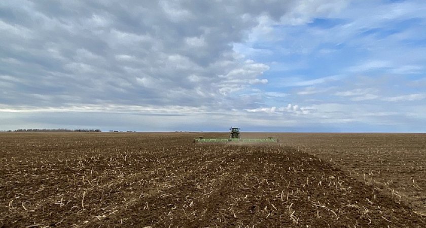 В 2023 году Кировская область начнет возвращать в оборот сельхозземли