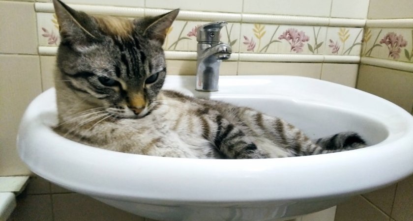 "Водоканал" предупредил кировчан об отключениях холодной воды