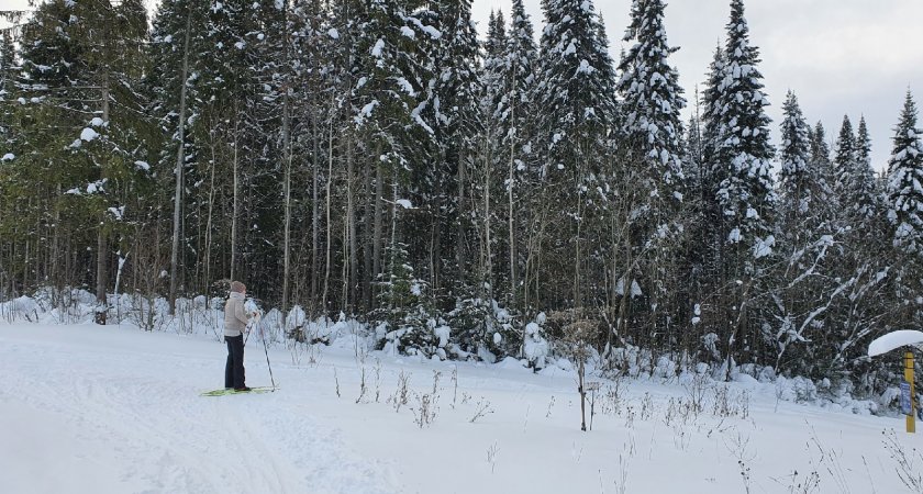 Овны найдут баланс, а Близнецам нельзя делиться информацией: гороскоп на 28 декабря