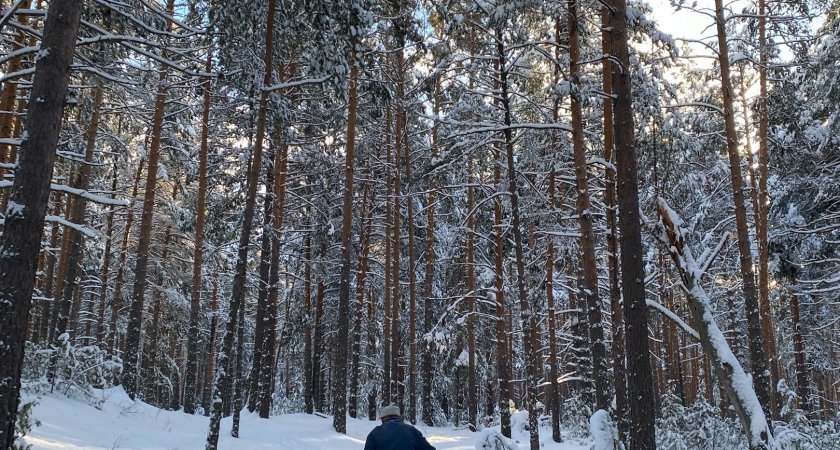 Девы захотят тишины, а Водолеи – заботы и внимания: гороскоп на 6 января