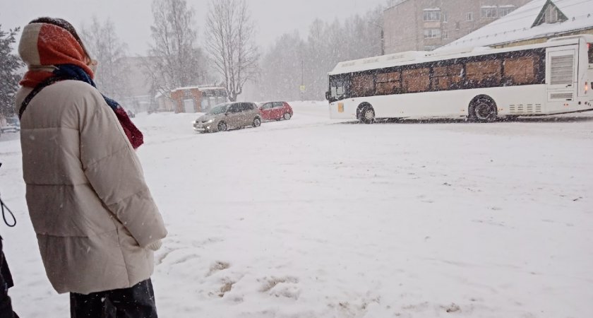 В Кирове водитель и кондуктор автобуса незаконно высадили из транспорта ребенка-инвалида 