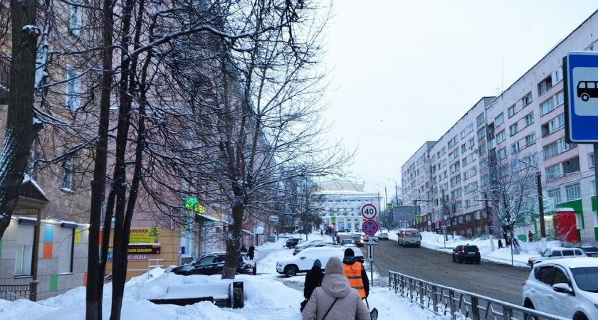 В Кирове обсудят озеленение улицы Карла Маркса