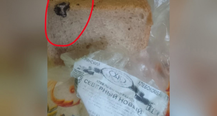 "Пекут вместе с шурупами": жительница Кировской области нашла в хлебе несъедобный элемент 