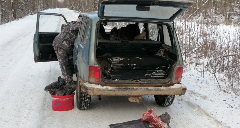 В Кировской области два браконьера лишились миллиона рублей, трех машин и оружия