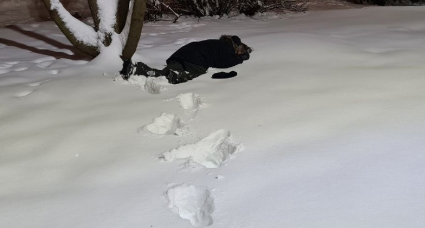Ночью в Кировской области на берегу реки нашли замерзающую девочку-подростка