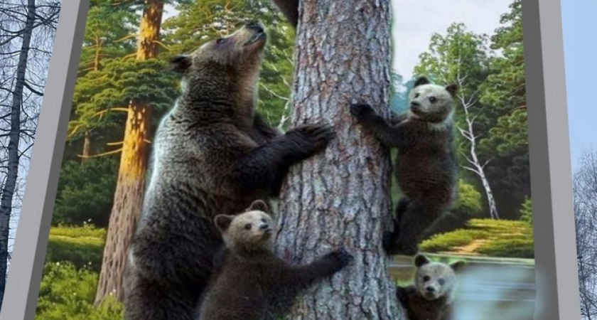 Кировские художники планируют нарисовать гигантские картины на домах