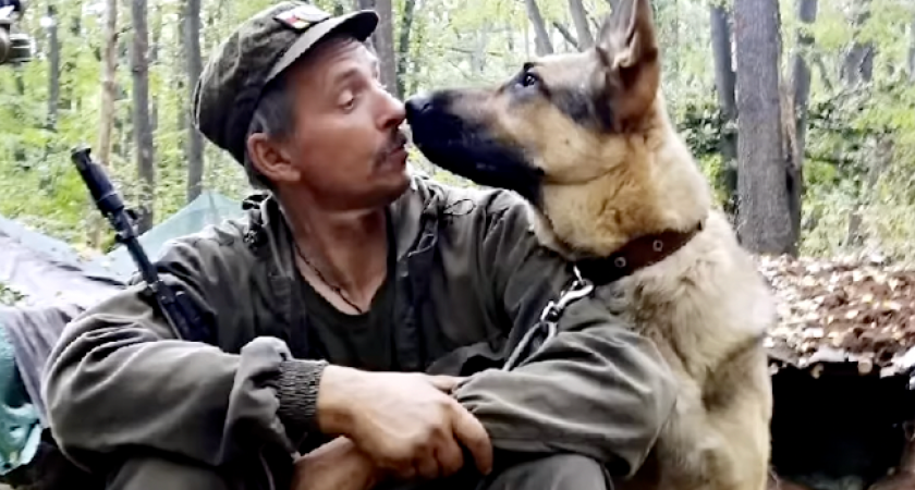 "Похоронили питомца с оружейными залпами": хозяин кировского пса-героя о собаке на СВО