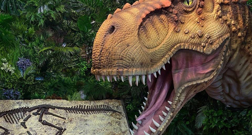 Кировских динозавров представили на выставке в Дубае