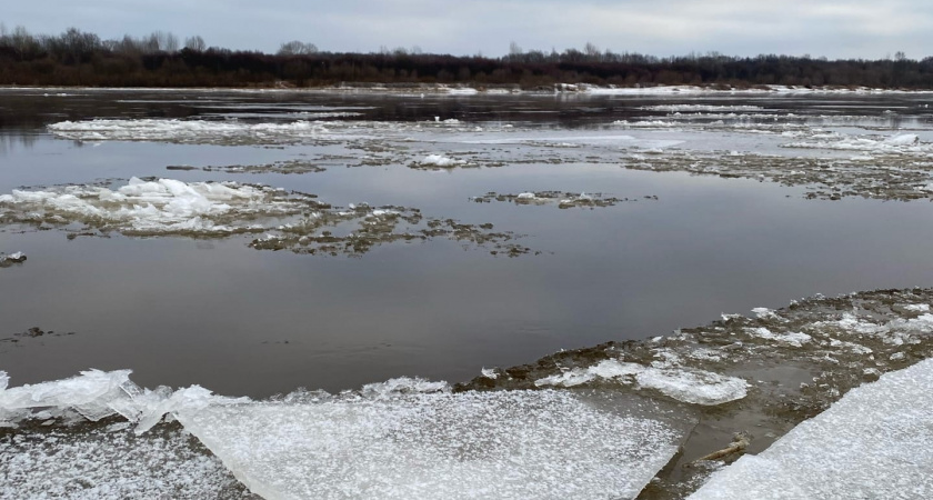 В Калужской области провалились под лед пятеро детей: есть погибшие