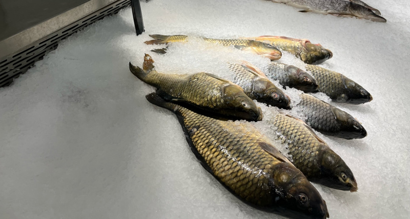 В Кировской области продавали рыбу неизвестного происхождения