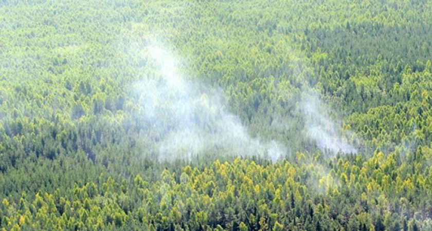 В Кировской области проведут авиационное и наземное патрулирование лесов