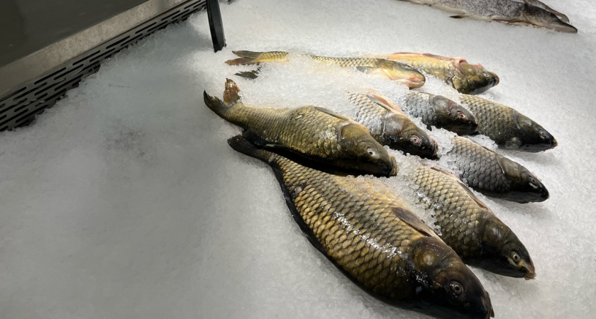 В Кирове продавали подозрительную рыбу